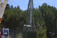 Greenlab - Serviços